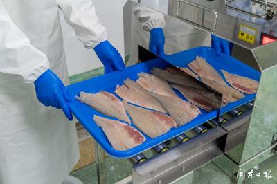 開辟“預制菜”新賽道，大黃魚游向水產品市場藍海