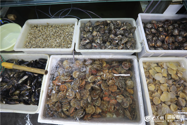 青島 休漁期水產品批發市場貨源充足，品類豐富價格穩